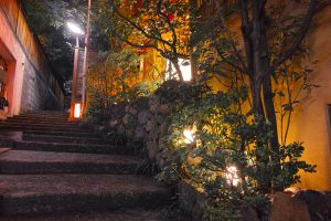 Tokyo 3: Traditional & Modern Tokyo Evening