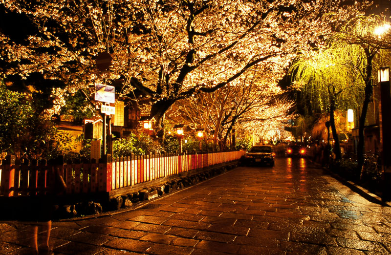 Kyoto Walk 4: Gion Evening Walk – Chris Rowthorn Tours