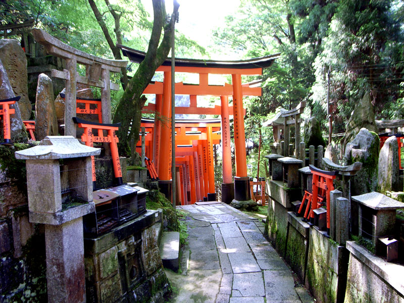 Kyoto Walk 2: Tofuku-ji Temple to Fushimi-Inari Taisha Shrine – Chris  Rowthorn Tours